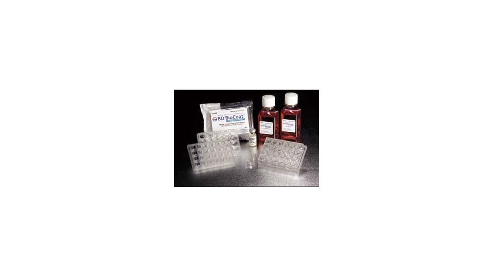 BD BioCoat HTS Caco-2 Assay Systems, BD Biosciences 354802 Hts Caco-2 Assay Systems Five Plate Kit