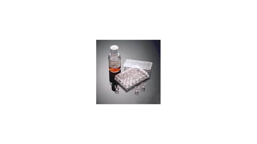 BD BioCoat Matrigel Invasion Chambers, BD Biosciences 354481 Bd Matrigel Invasion Chambers