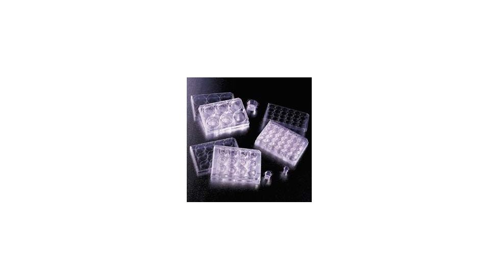 BD Falcon Cell Culture Inserts, Sterile, BD Biosciences 353093 Translucent Inserts