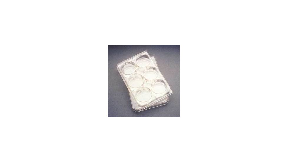 BD Falcon Multiwell Flat-Bottom Plates with Lids, Sterile, BD Biosciences 353043