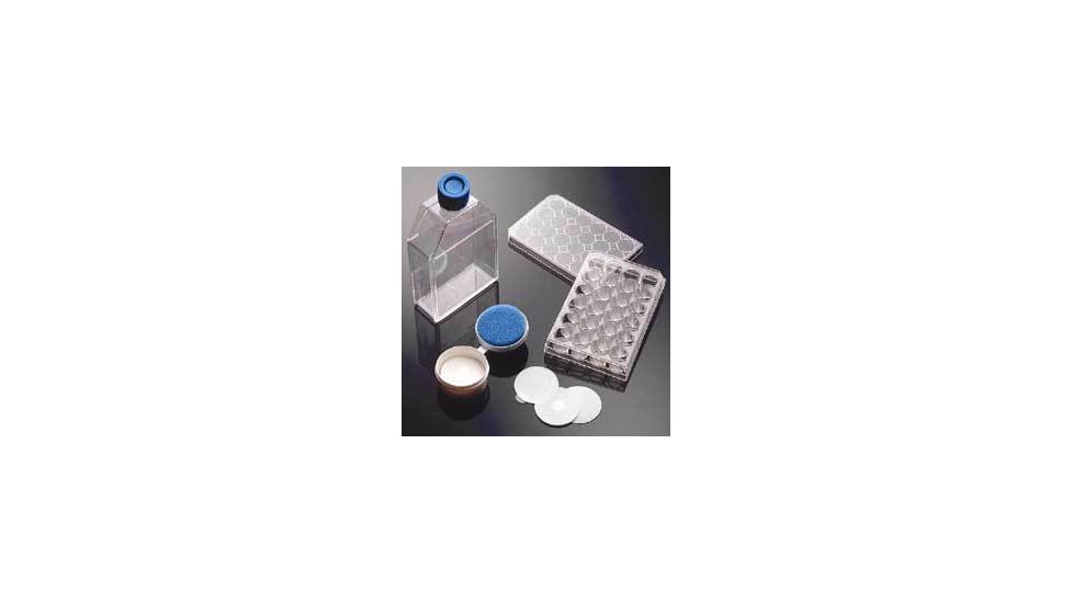 BD Flask Pdl 250ML Cantd Plug CS5 354524