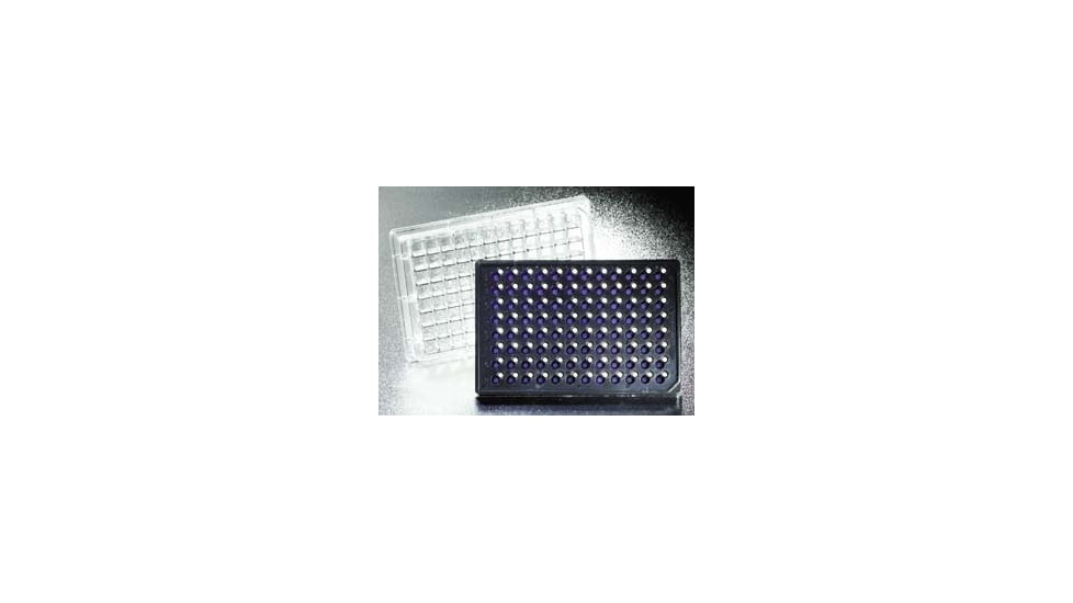 BD Insert Hts 24W 8UM W/LID CS5 351158