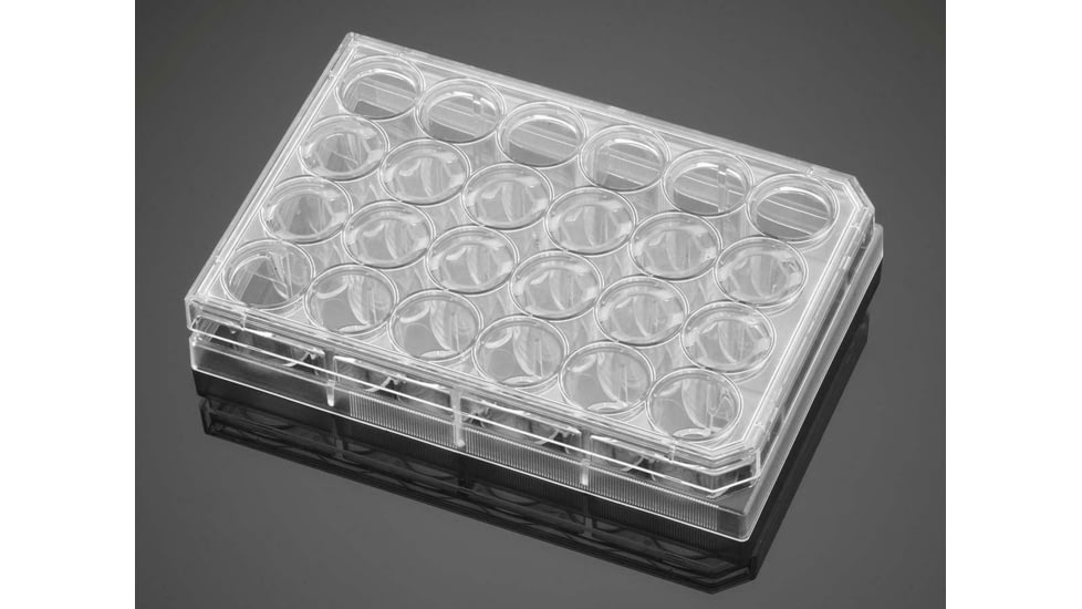 BD Plate Amine 6-well 354721, Unit CS