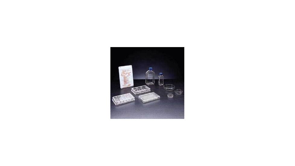 BD Primaria Treated Labware, Sterile, BD Biosciences 353813 Culture Flasks With Plug-Seal Caps 25 cm2, Canted Neck
