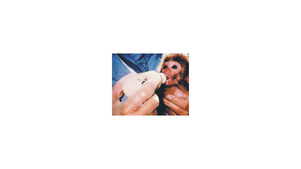 Bio-Serv Diet Infant Primate 1KG F0554SP