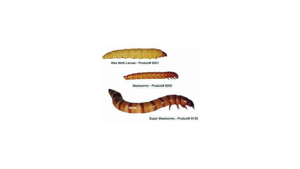Bio-Serv Mealworms (LIVE) 100/CUP 9002