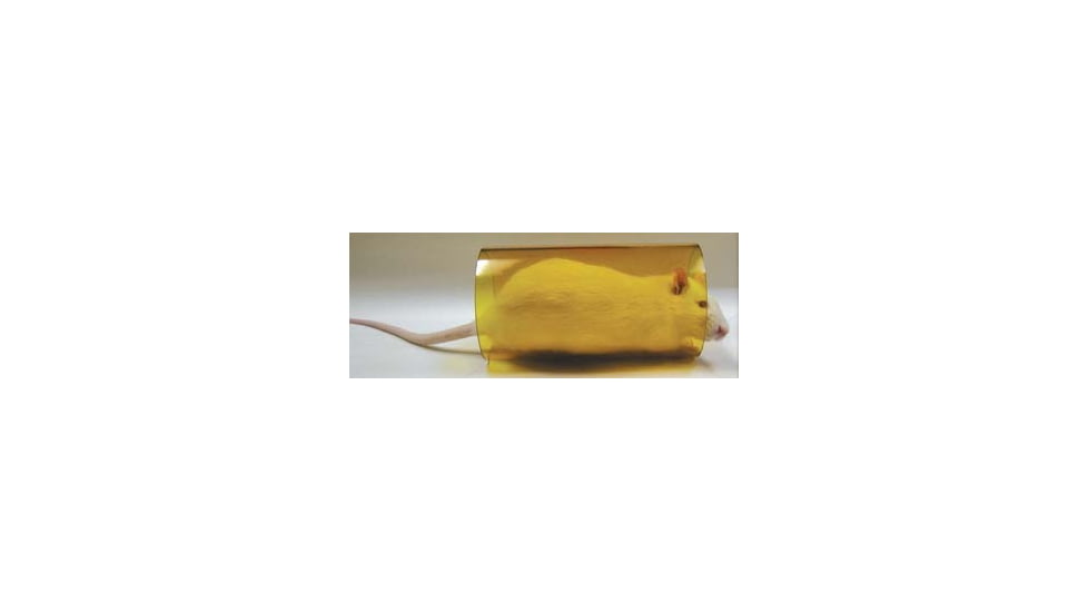 Bio-Serv Rat Tunnel Amber 3X6IN L K3326
