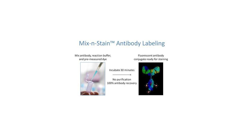 Biotium Cf640r Mix-n-stain (20-50 Ug) 92258, Unit EA