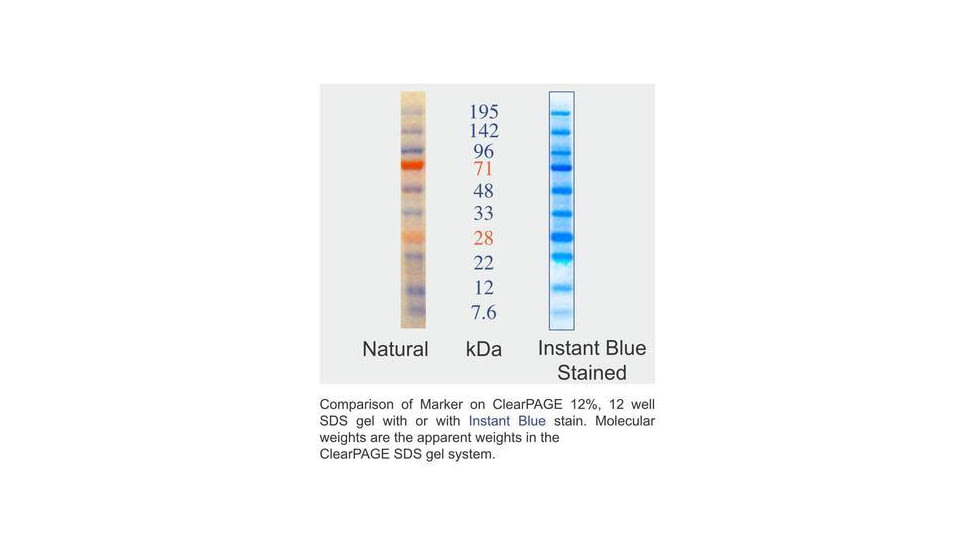 C.B.S. Scientific Clearpage 2-COLOR Marker 30UL HM05103