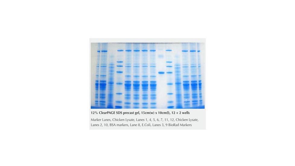 C.B.S. Scientific Clearpage Sds Gel 12% 17W FK01227
