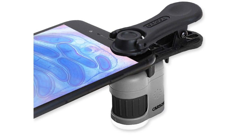 Carson MicroMini HookUpz 20X Microscope, Black/Grey, MM-380