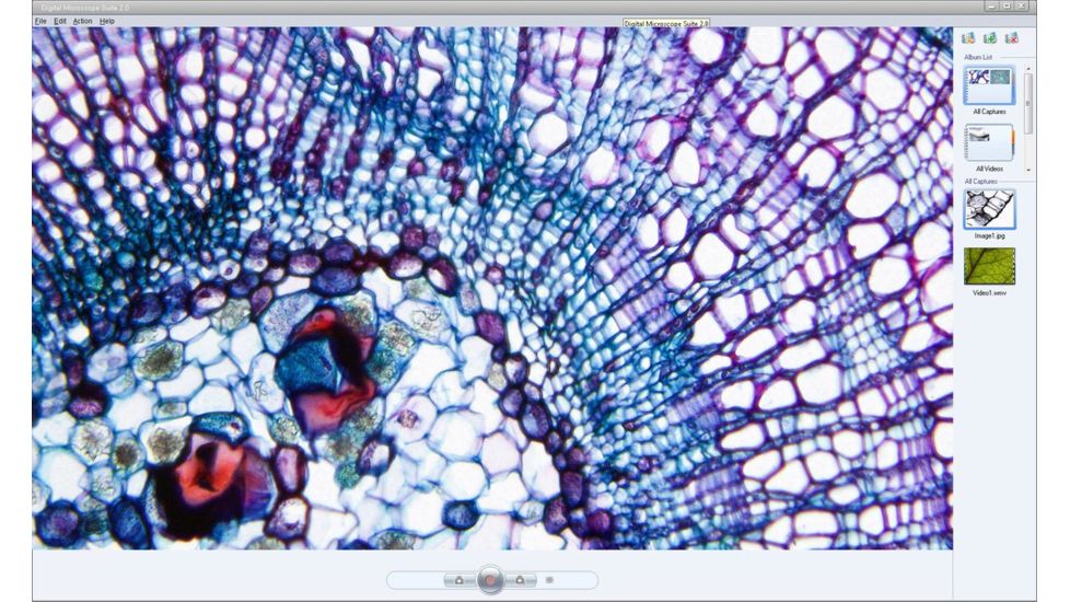 Celestron Digital Microscope Imager 44421