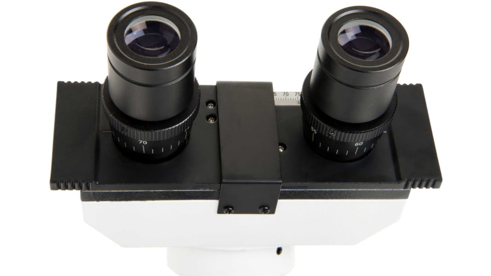 Celestron Labs CB2000CF Compound Binocular Microscope,10x,20x Eyepieces,4x,10x,40x,100x Achromatic Objective Lenses 44131