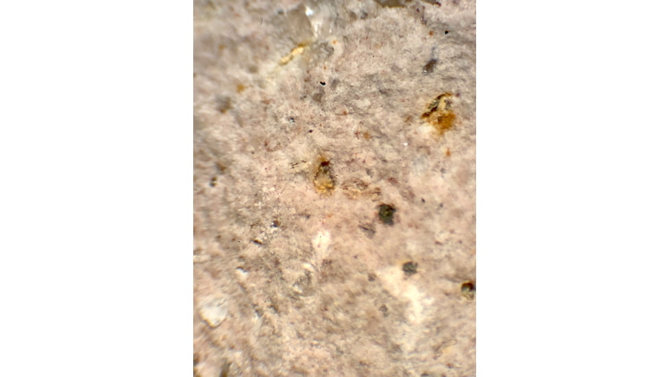 Celestron Labs S10-60 Stereo Microscope,10x,20x Eyepieces,Two Sets of Objective Lenses,1x,3x 44208