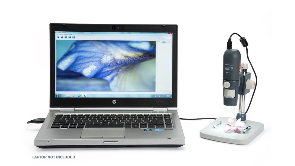 Celestron MicroDirect 1080p HD Handheld Digital Micro, Black, 44316