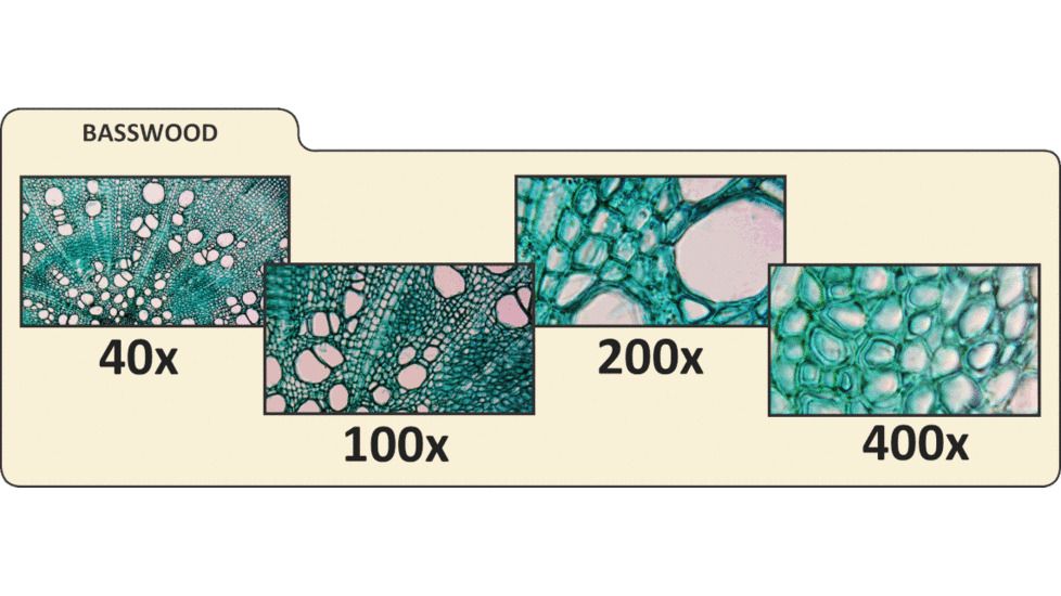 Celestron PentaView LCD Digital Microscope 44348