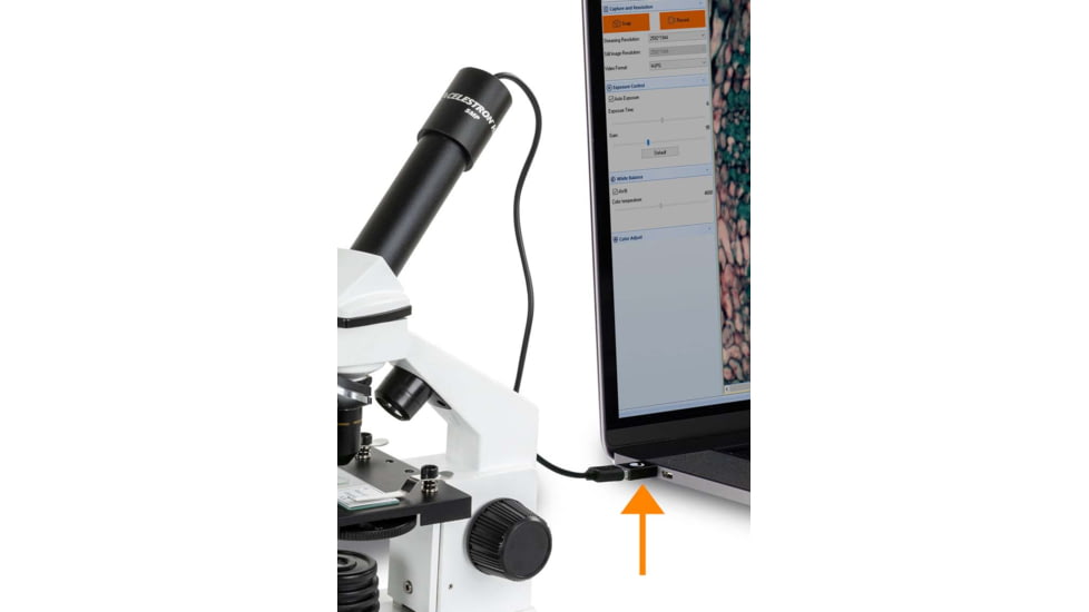 Celestron USB-C to USB-A Converters, Pack of 2, 44426