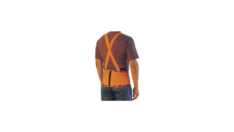 Chase Ergonomics Cadet Back Support Sz Lg 46583