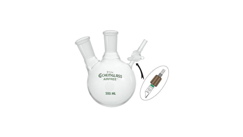 Chemglass Flask Reaction 2NK 100ML 1 AF-0530-21