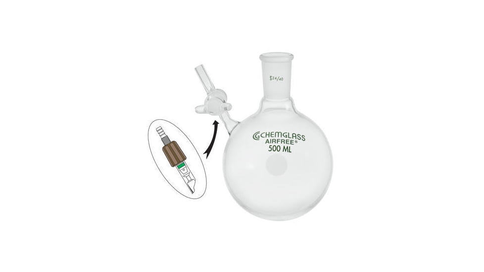 Chemglass Flask Reaction Glass 100ML AF-0528-02