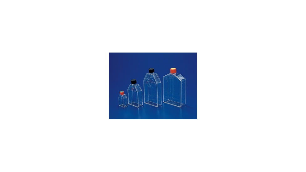 Corning Flask 75CM2 Canted Neck CS100 430720