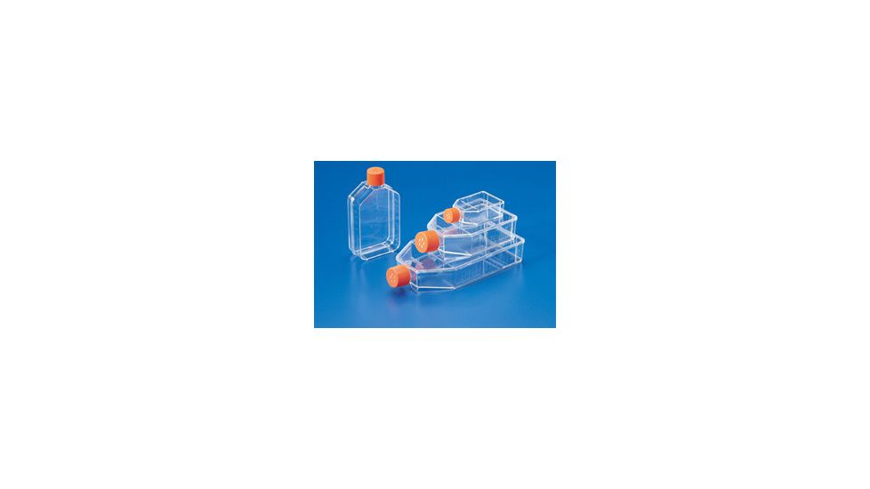 Corning Flask Canted Neck 75CM2 CS100 430641