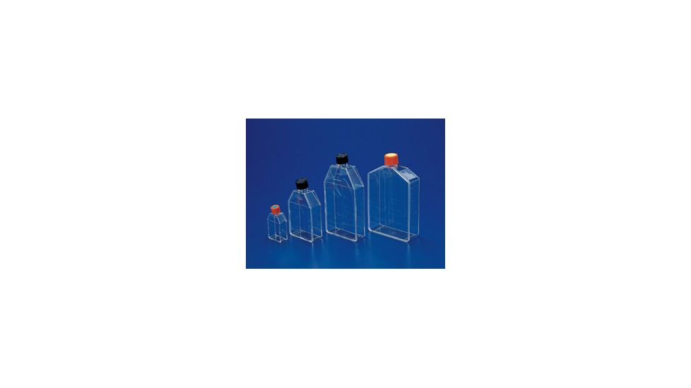 Corning FLASK,TC 25CM2 W/PH Cap CS500 430372