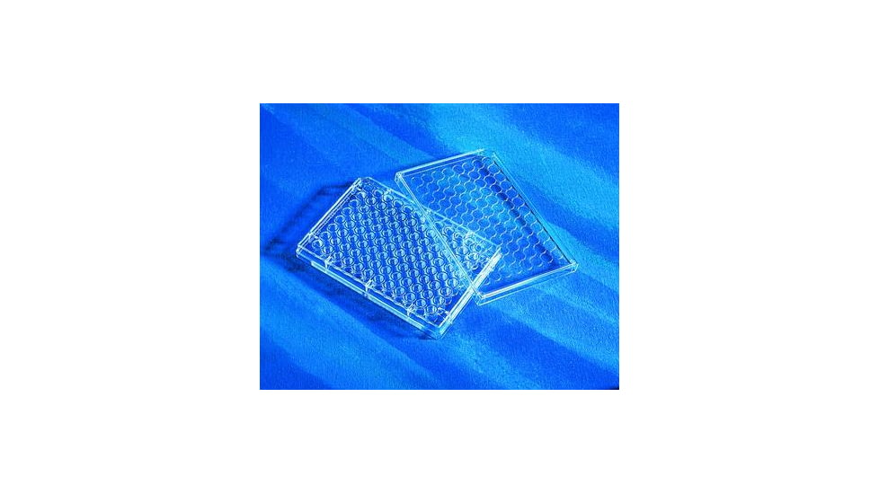 Corning PLATE,STRIP,TC,8-WELL, CS-50 9102