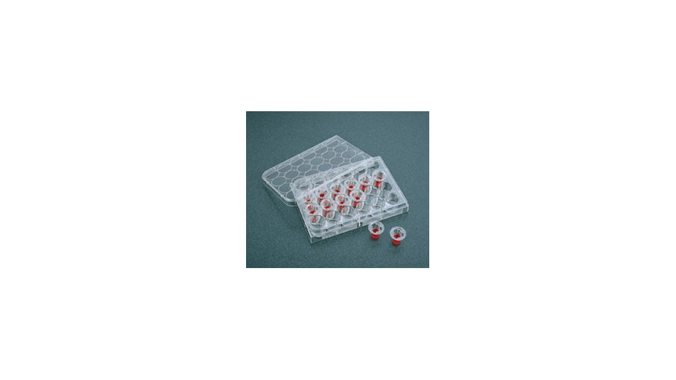 Corning TRANSWELL,TCT, 24MM,CS24,3.0UM 3414