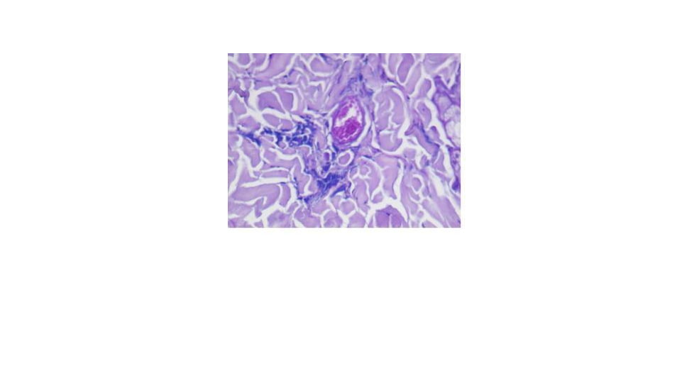 Diagnostic Biosystems C.E.M. Kit 100RXN KT 004