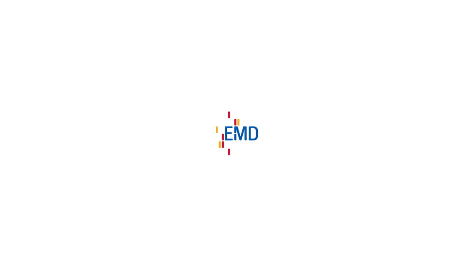EMD Zinc Chloride Emprove 1KG 1.08815.1000