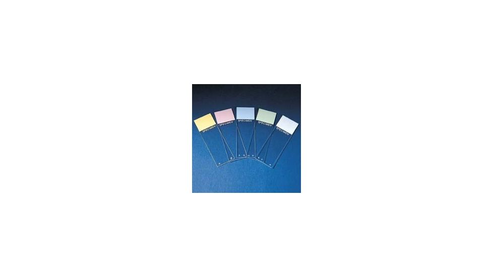 Erie Scientific Colorfrost Plus Microscope Slides, Erie Scientific 8951PLUS