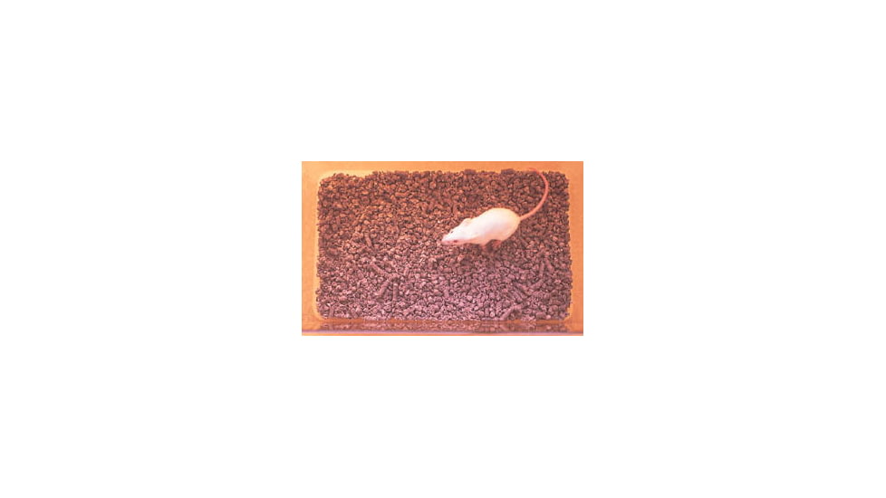 Fangman Specialties CELL-SORB Pl Gr 2-1.1 Bag 2CS 1.1LB-G-200S