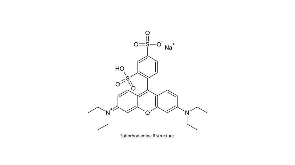 G-Biosciences Cytotoxicity Assay Srb 1000 786-213