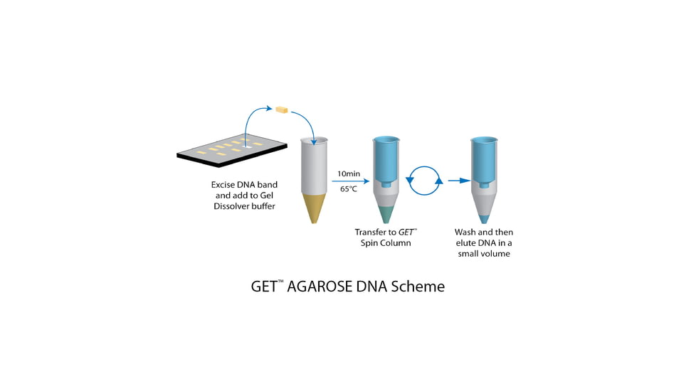 G-Biosciences Dna Gel Extraction 50 Prep 786-358, Unit EA