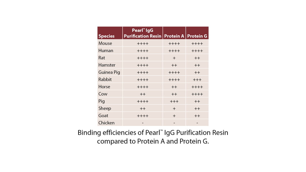 G-Biosciences Extrction Kit Igg Resin 25ml 786-801, Unit EA