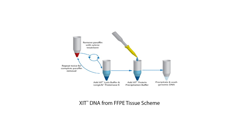 G-Biosciences Dna From Buccal Cells 50 Preps 786-344, Unit EA