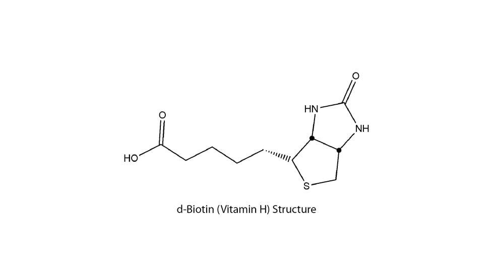 G-Biosciences Sulfo Nhs Lc Lc Btn Kt 10rxn BS-08, Unit PK