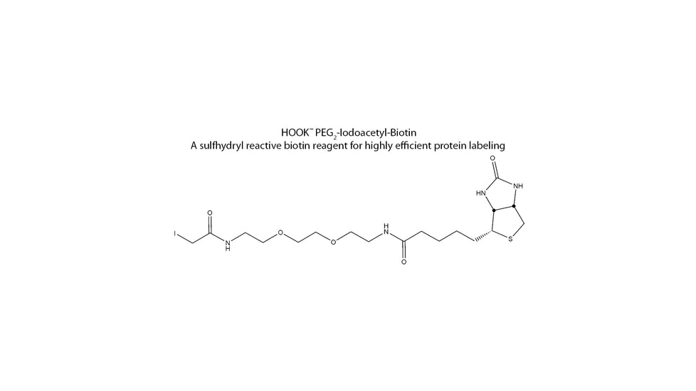 G-Biosciences Iodoacetyl Lc Biotn Kt 10rxn BS-12, Unit PK