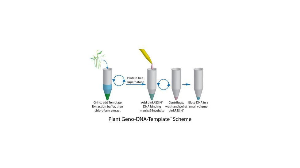 G-Biosciences Plant GENO-DNA Template 100/RX 786-135
