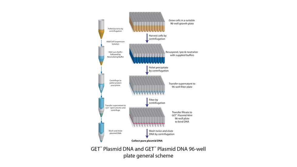 G-Biosciences Plasmid Mediprep 25 Preps 786-365, Unit EA
