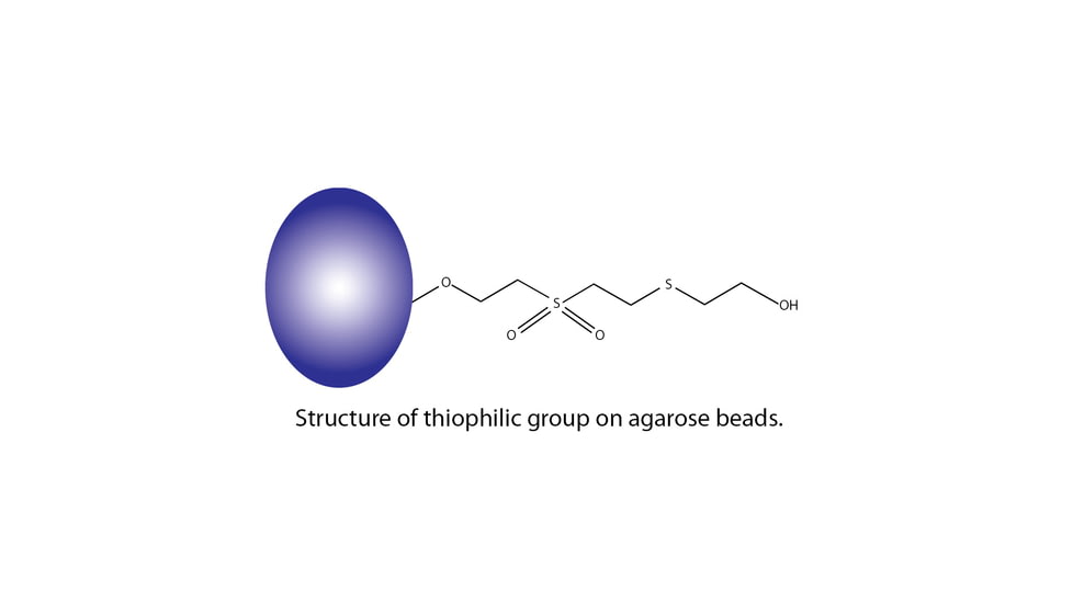 G-Biosciences Resin Thiophilic Kit 786-266, Unit EA