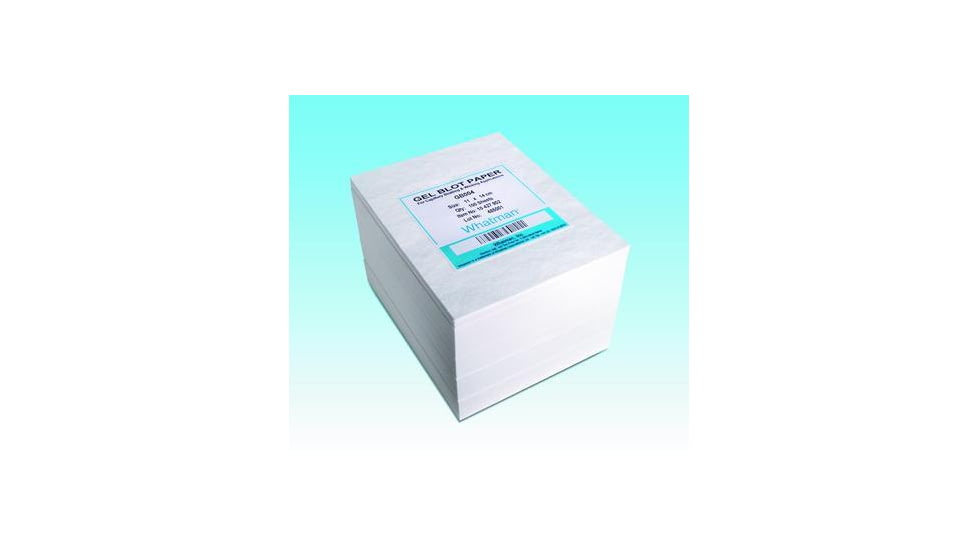 GE Paper Filter 110x140mm 100/pk 10427804, Unit PK