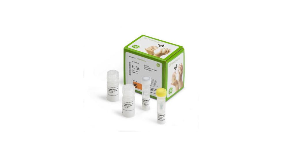 Genomiphi V2 Dna Amp Kit 25RX 25-6600-30