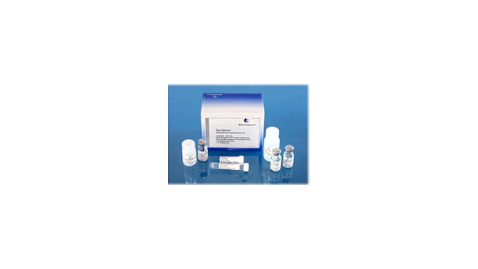 Genvault Purified Dna Recovery Kit GVGR-50