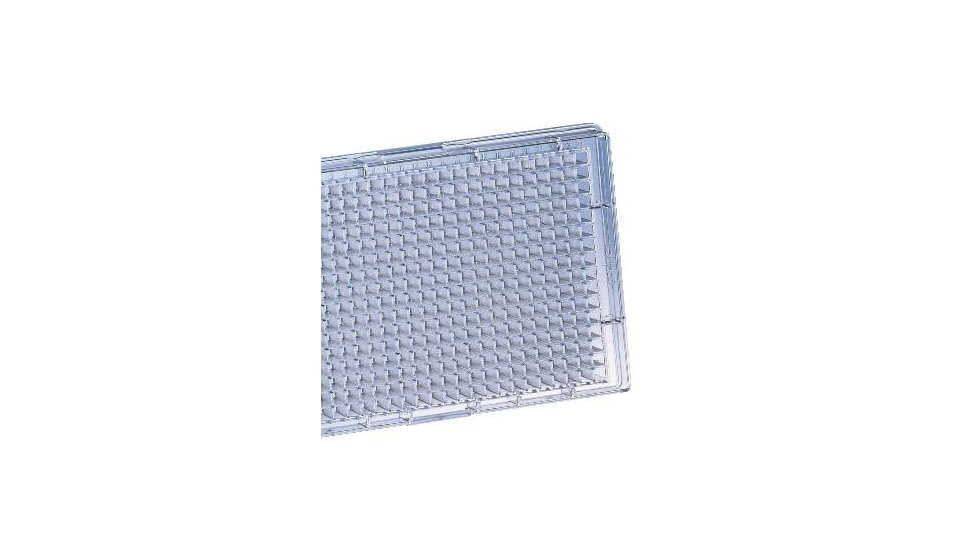 Greiner Bio-One Plate 384W No Bottom Clr CS80 788000