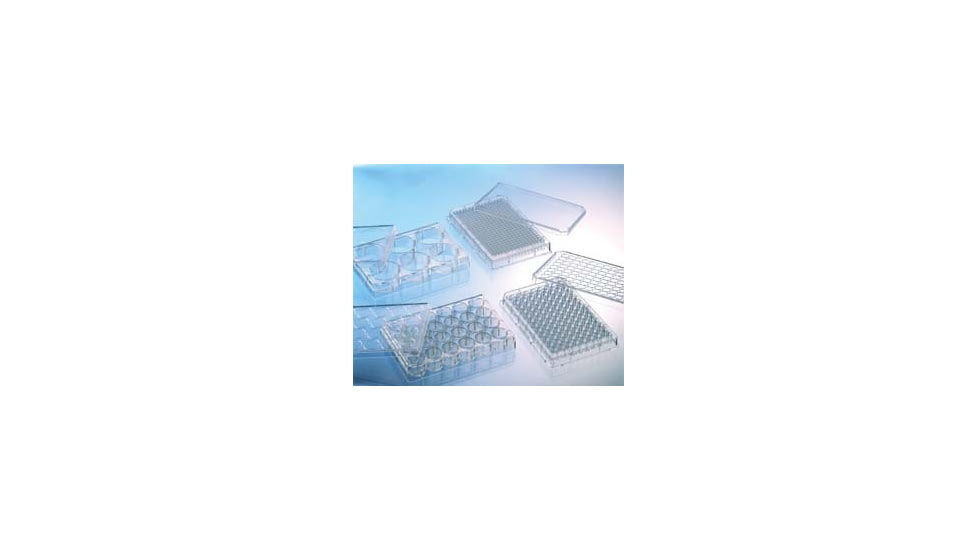 Greiner Bio-One Plate Collagen 24 Well CS50 662950