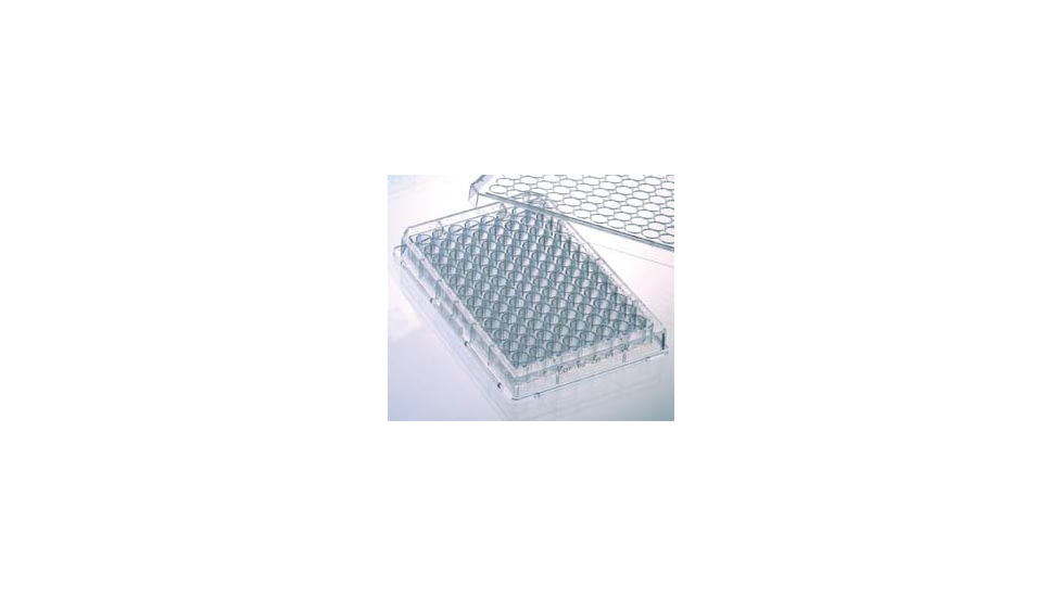 Greiner Bio-One Plate Streptavidin 384WL CS40 781996