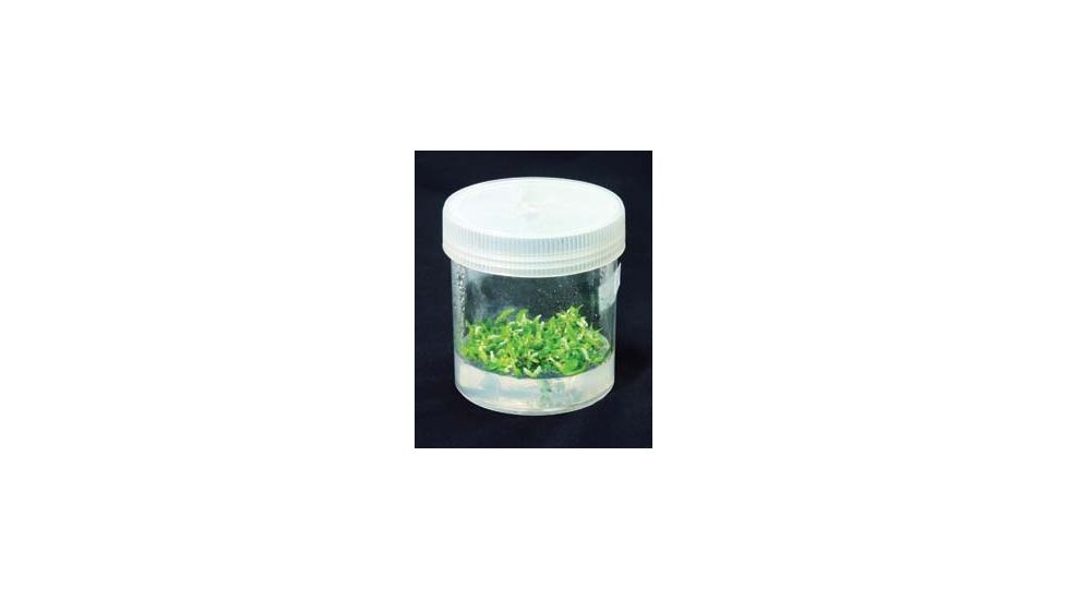 Himedia Laboratories Phyta Jars (ROUND CONTAINERS) PW1125-50