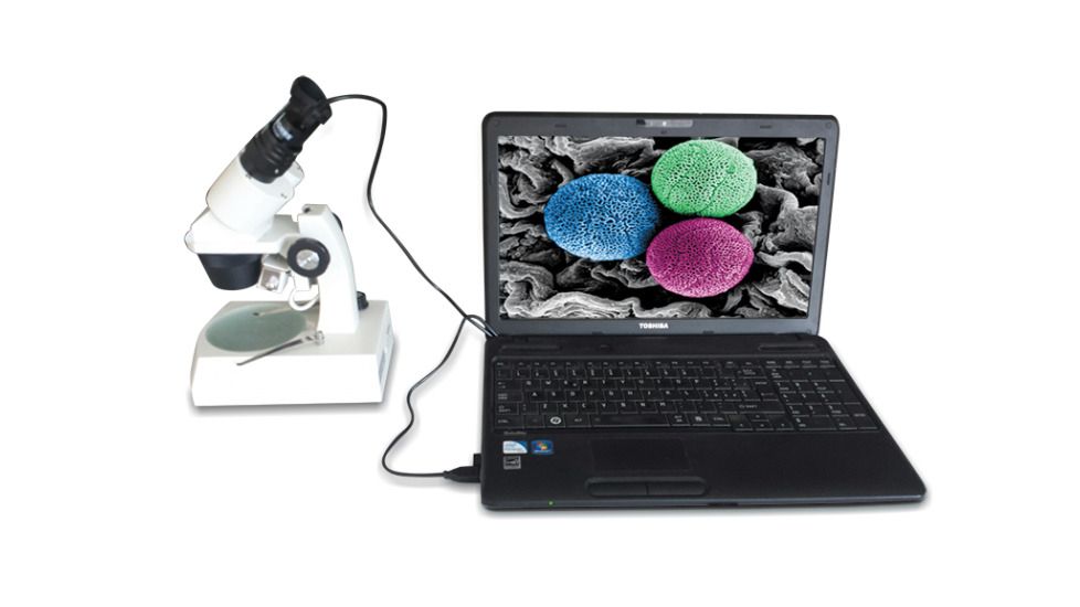 Konus Microvue Digital Eyepiece For Microscope - 1.3Mp Resolution, Black 5830 MICROVUE